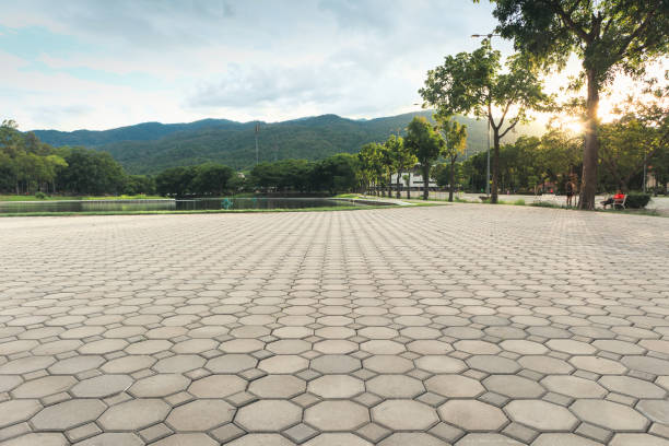 Paver Driveway Replacement in Hartsville, SC